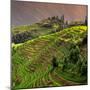 China 10MKm2 Collection - Rice Terraces - Longsheng Ping'an - Guangxi-Philippe Hugonnard-Mounted Photographic Print