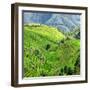 China 10MKm2 Collection - Rice Terraces - Longsheng Ping'an - Guangxi-Philippe Hugonnard-Framed Photographic Print