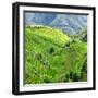 China 10MKm2 Collection - Rice Terraces - Longsheng Ping'an - Guangxi-Philippe Hugonnard-Framed Photographic Print