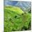 China 10MKm2 Collection - Rice Terraces - Longsheng Ping'an - Guangxi-Philippe Hugonnard-Mounted Photographic Print