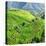 China 10MKm2 Collection - Rice Terraces - Longsheng Ping'an - Guangxi-Philippe Hugonnard-Stretched Canvas