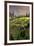 China 10MKm2 Collection - Rice Terraces - Longsheng Ping'an - Guangxi-Philippe Hugonnard-Framed Photographic Print