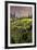 China 10MKm2 Collection - Rice Terraces - Longsheng Ping'an - Guangxi-Philippe Hugonnard-Framed Photographic Print