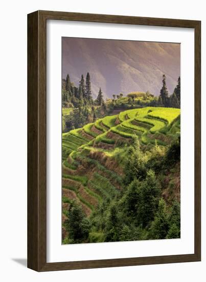 China 10MKm2 Collection - Rice Terraces - Longsheng Ping'an - Guangxi-Philippe Hugonnard-Framed Photographic Print