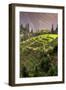 China 10MKm2 Collection - Rice Terraces - Longsheng Ping'an - Guangxi-Philippe Hugonnard-Framed Photographic Print