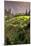 China 10MKm2 Collection - Rice Terraces - Longsheng Ping'an - Guangxi-Philippe Hugonnard-Mounted Photographic Print