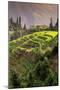 China 10MKm2 Collection - Rice Terraces - Longsheng Ping'an - Guangxi-Philippe Hugonnard-Mounted Photographic Print