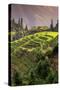 China 10MKm2 Collection - Rice Terraces - Longsheng Ping'an - Guangxi-Philippe Hugonnard-Stretched Canvas