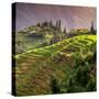 China 10MKm2 Collection - Rice Terraces - Longsheng Ping'an - Guangxi-Philippe Hugonnard-Stretched Canvas