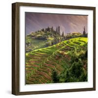 China 10MKm2 Collection - Rice Terraces - Longsheng Ping'an - Guangxi-Philippe Hugonnard-Framed Photographic Print