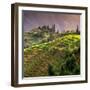 China 10MKm2 Collection - Rice Terraces - Longsheng Ping'an - Guangxi-Philippe Hugonnard-Framed Photographic Print