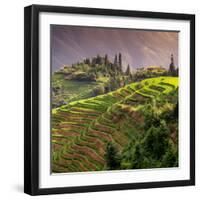 China 10MKm2 Collection - Rice Terraces - Longsheng Ping'an - Guangxi-Philippe Hugonnard-Framed Photographic Print