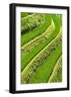 China 10MKm2 Collection - Rice Terraces - Longsheng Ping'an - Guangxi-Philippe Hugonnard-Framed Photographic Print