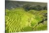 China 10MKm2 Collection - Rice Terraces - Longsheng Ping'an - Guangxi-Philippe Hugonnard-Stretched Canvas