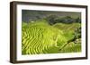 China 10MKm2 Collection - Rice Terraces - Longsheng Ping'an - Guangxi-Philippe Hugonnard-Framed Photographic Print