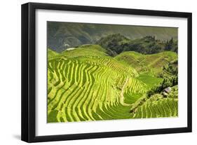 China 10MKm2 Collection - Rice Terraces - Longsheng Ping'an - Guangxi-Philippe Hugonnard-Framed Photographic Print