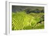 China 10MKm2 Collection - Rice Terraces - Longsheng Ping'an - Guangxi-Philippe Hugonnard-Framed Photographic Print