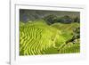 China 10MKm2 Collection - Rice Terraces - Longsheng Ping'an - Guangxi-Philippe Hugonnard-Framed Photographic Print