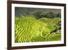 China 10MKm2 Collection - Rice Terraces - Longsheng Ping'an - Guangxi-Philippe Hugonnard-Framed Photographic Print