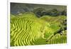 China 10MKm2 Collection - Rice Terraces - Longsheng Ping'an - Guangxi-Philippe Hugonnard-Framed Photographic Print