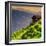 China 10MKm2 Collection - Rice Terraces - Longsheng Ping'an - Guangxi-Philippe Hugonnard-Framed Photographic Print