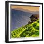 China 10MKm2 Collection - Rice Terraces - Longsheng Ping'an - Guangxi-Philippe Hugonnard-Framed Photographic Print