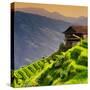 China 10MKm2 Collection - Rice Terraces - Longsheng Ping'an - Guangxi-Philippe Hugonnard-Stretched Canvas