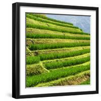 China 10MKm2 Collection - Rice Terraces - Longsheng Ping'an - Guangxi-Philippe Hugonnard-Framed Premium Photographic Print