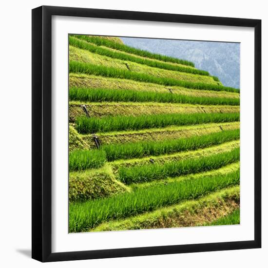 China 10MKm2 Collection - Rice Terraces - Longsheng Ping'an - Guangxi-Philippe Hugonnard-Framed Premium Photographic Print