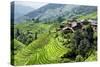 China 10MKm2 Collection - Rice Terraces - Longsheng Ping'an - Guangxi-Philippe Hugonnard-Stretched Canvas