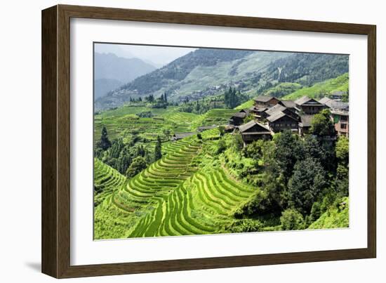 China 10MKm2 Collection - Rice Terraces - Longsheng Ping'an - Guangxi-Philippe Hugonnard-Framed Photographic Print