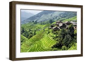 China 10MKm2 Collection - Rice Terraces - Longsheng Ping'an - Guangxi-Philippe Hugonnard-Framed Photographic Print