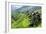 China 10MKm2 Collection - Rice Terraces - Longsheng Ping'an - Guangxi-Philippe Hugonnard-Framed Photographic Print