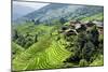 China 10MKm2 Collection - Rice Terraces - Longsheng Ping'an - Guangxi-Philippe Hugonnard-Mounted Photographic Print