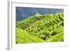 China 10MKm2 Collection - Rice Terraces - Longsheng Ping'an - Guangxi-Philippe Hugonnard-Framed Photographic Print