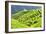 China 10MKm2 Collection - Rice Terraces - Longsheng Ping'an - Guangxi-Philippe Hugonnard-Framed Photographic Print