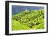 China 10MKm2 Collection - Rice Terraces - Longsheng Ping'an - Guangxi-Philippe Hugonnard-Framed Photographic Print