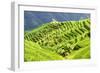 China 10MKm2 Collection - Rice Terraces - Longsheng Ping'an - Guangxi-Philippe Hugonnard-Framed Photographic Print