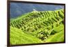 China 10MKm2 Collection - Rice Terraces - Longsheng Ping'an - Guangxi-Philippe Hugonnard-Framed Photographic Print