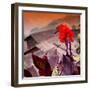 China 10MKm2 Collection - Rice Terraces - Longsheng Ping'an - Guangxi-Philippe Hugonnard-Framed Photographic Print