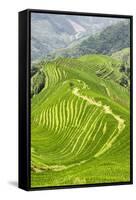 China 10MKm2 Collection - Rice Terraces - Longsheng Ping'an - Guangxi-Philippe Hugonnard-Framed Stretched Canvas