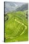China 10MKm2 Collection - Rice Terraces - Longsheng Ping'an - Guangxi-Philippe Hugonnard-Stretched Canvas