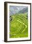 China 10MKm2 Collection - Rice Terraces - Longsheng Ping'an - Guangxi-Philippe Hugonnard-Framed Photographic Print