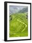 China 10MKm2 Collection - Rice Terraces - Longsheng Ping'an - Guangxi-Philippe Hugonnard-Framed Photographic Print