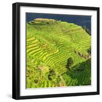 China 10MKm2 Collection - Rice Terraces - Longsheng Ping'an - Guangxi-Philippe Hugonnard-Framed Photographic Print