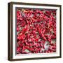 China 10MKm2 Collection - Rice Terraces - Longsheng Ping'an - Guangxi-Philippe Hugonnard-Framed Photographic Print