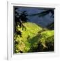 China 10MKm2 Collection - Rice Terraces - Longsheng Ping'an - Guangxi-Philippe Hugonnard-Framed Photographic Print