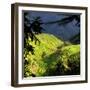 China 10MKm2 Collection - Rice Terraces - Longsheng Ping'an - Guangxi-Philippe Hugonnard-Framed Photographic Print