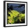 China 10MKm2 Collection - Rice Terraces - Longsheng Ping'an - Guangxi-Philippe Hugonnard-Framed Photographic Print