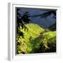 China 10MKm2 Collection - Rice Terraces - Longsheng Ping'an - Guangxi-Philippe Hugonnard-Framed Photographic Print